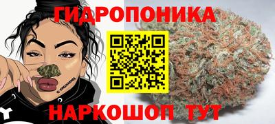 mix Дубна